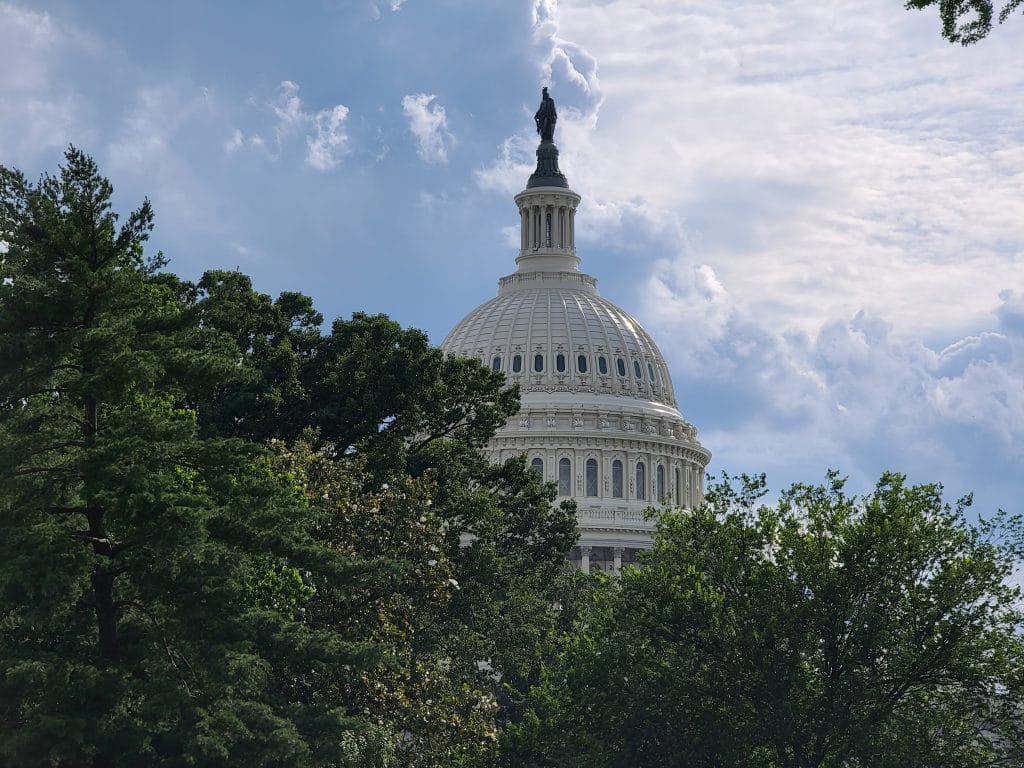 The Capitol Building partially obscured by trees