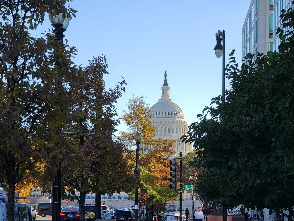 The Capitol Building in Washington, D.C.