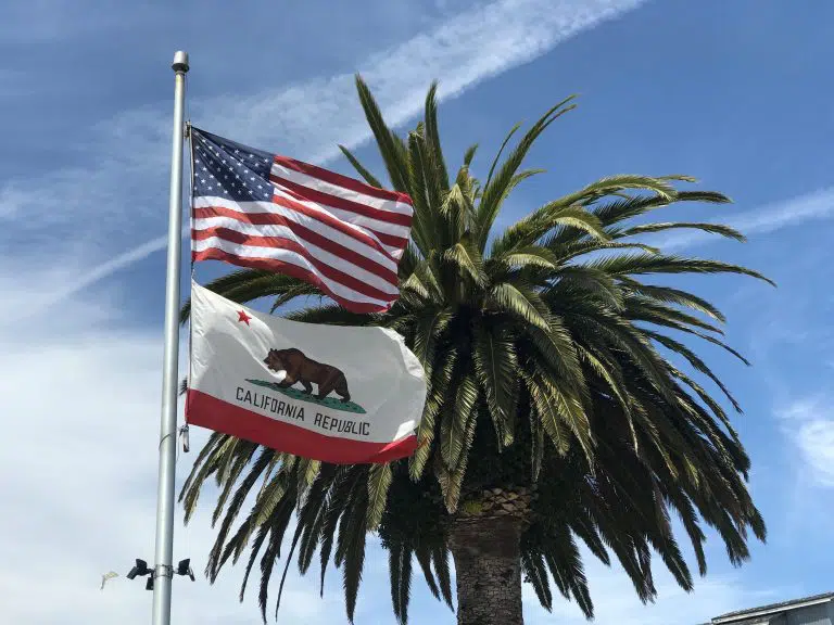 US flag and California state flag in front of a palm tree in Monterey, CA.